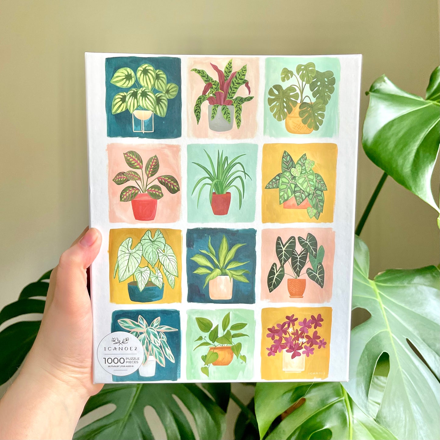 Jigsaw Puzzle | Houseplants