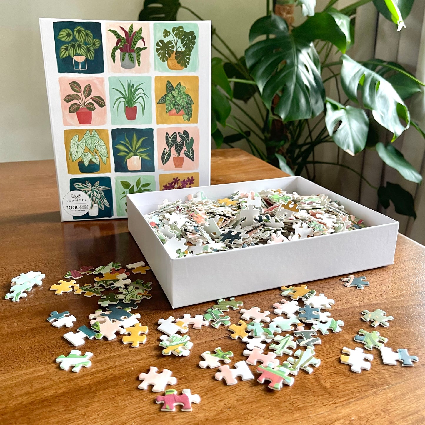Jigsaw Puzzle | Houseplants