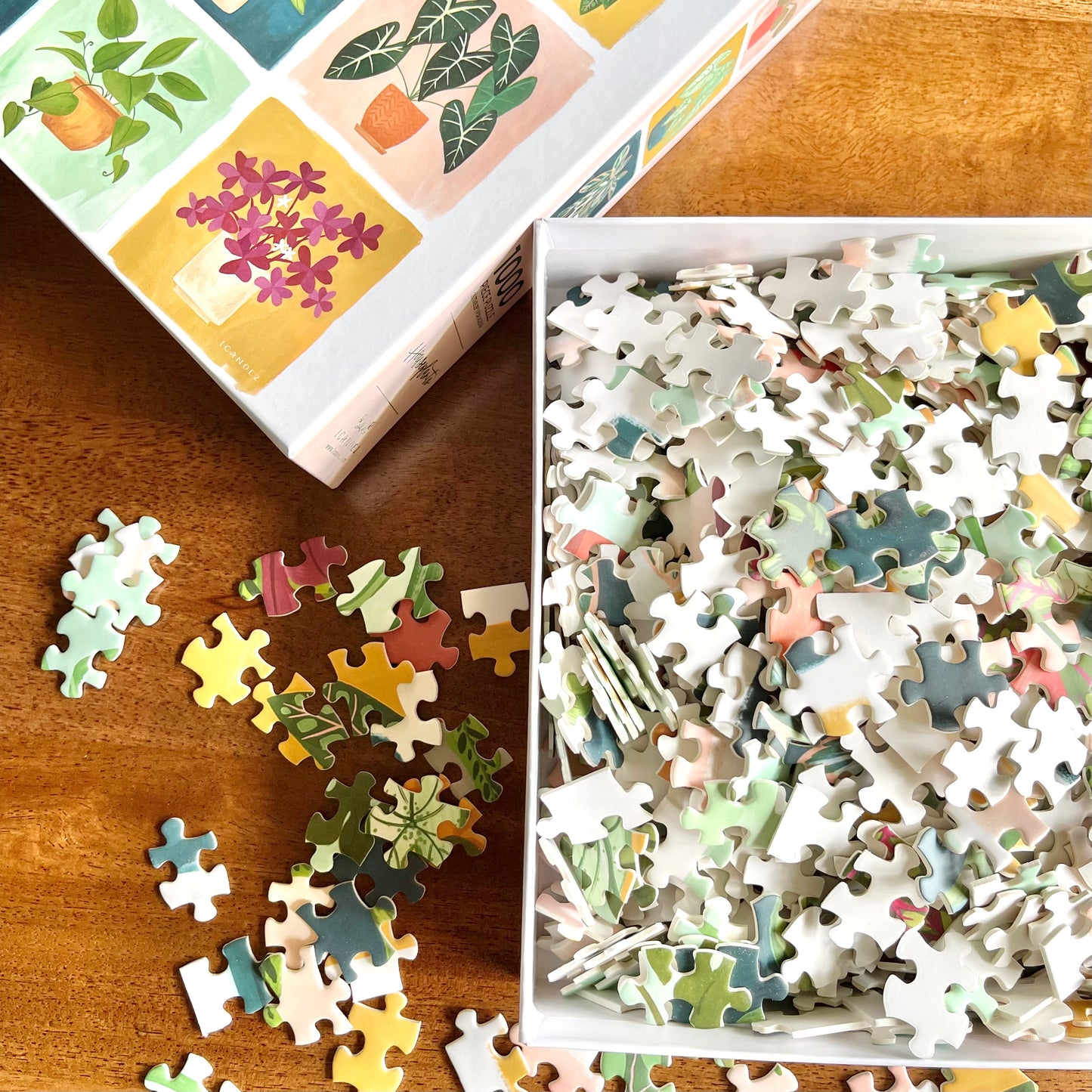 Jigsaw Puzzle | Houseplants