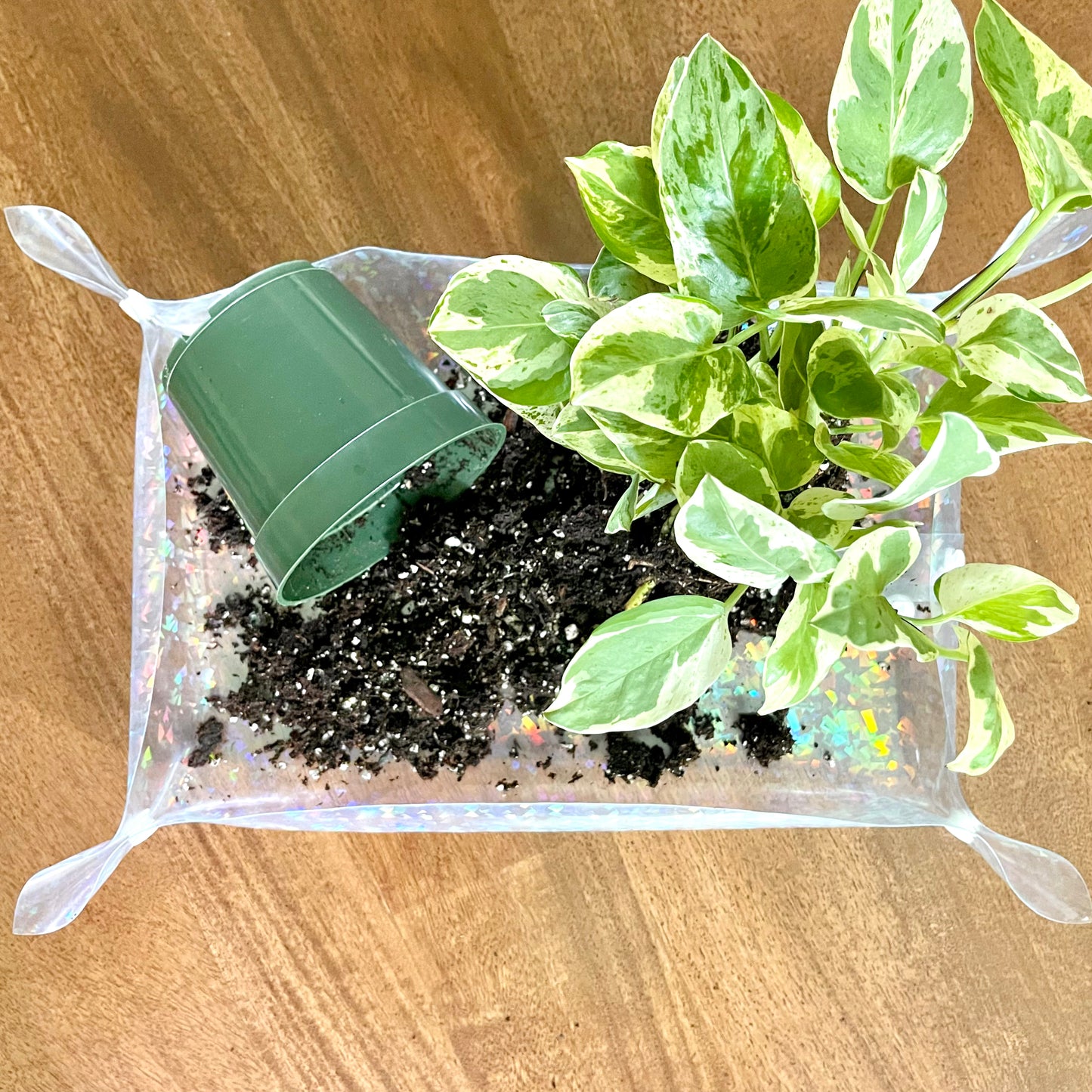 Houseplant Potting Mat | Mini Holographic