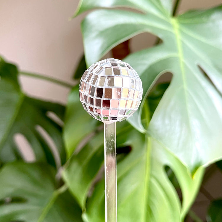 Disco Ball Plant Ornament