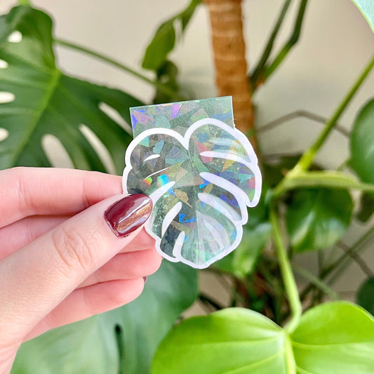 Local Pick Up | Magnetic Bookmark | Variegated Monstera