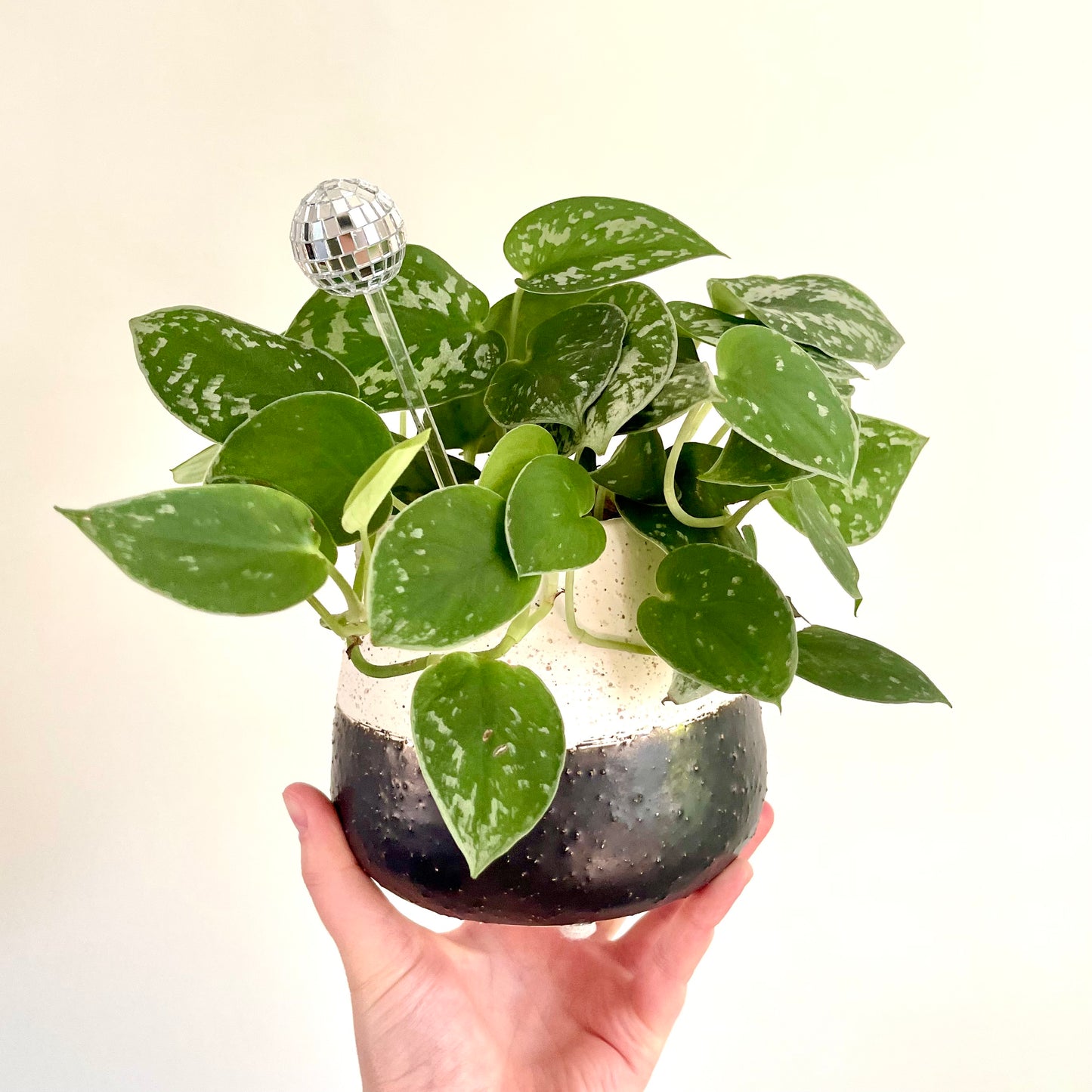 Disco Ball Plant Ornament