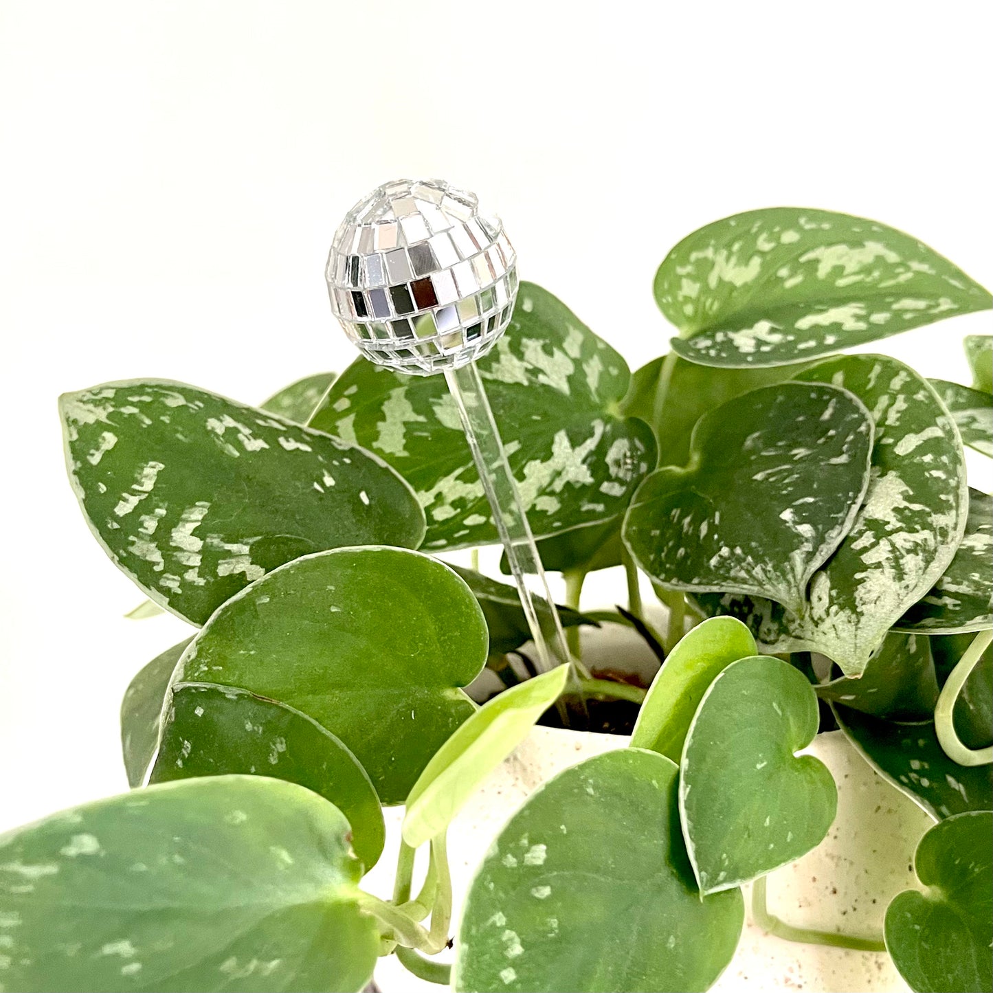 Disco Ball Plant Ornament