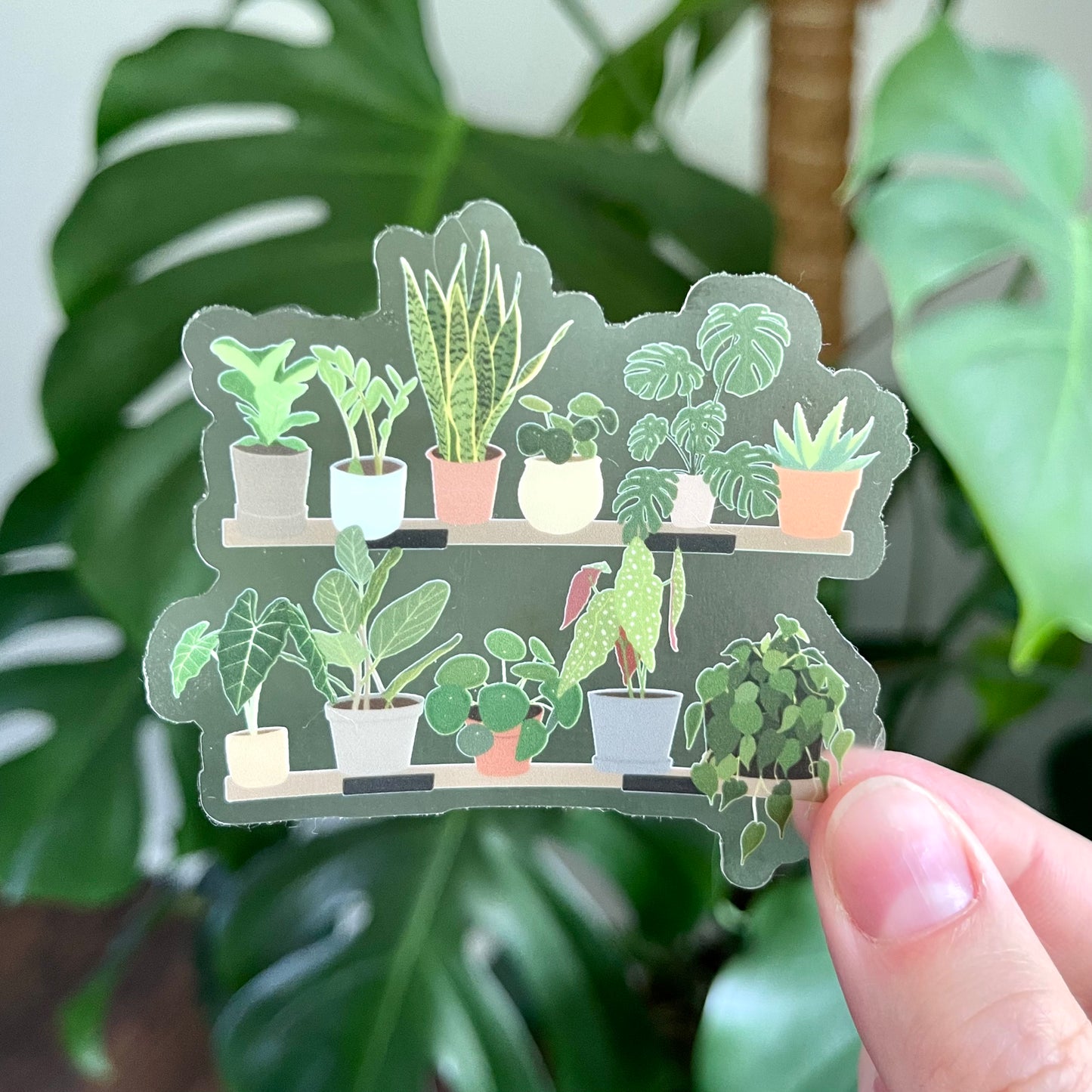 CLEAR Sticker | Planty Shelves