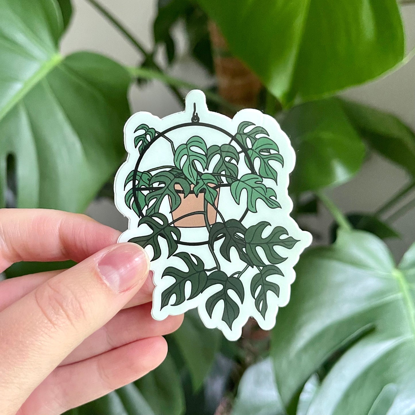 Local Pick Up | Sticker | Hanging Minima Monstera