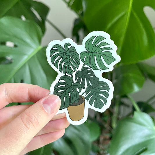 Sticker | Monstera Deliciosa